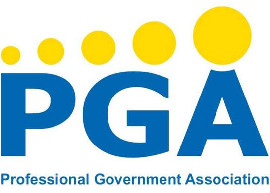Professional Government Association of Ukraine
